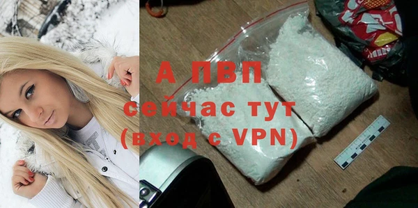 МДПВ Каменногорск