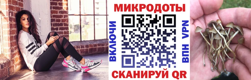 Галлюциногенные грибы Cubensis  Купить  Оренбург 